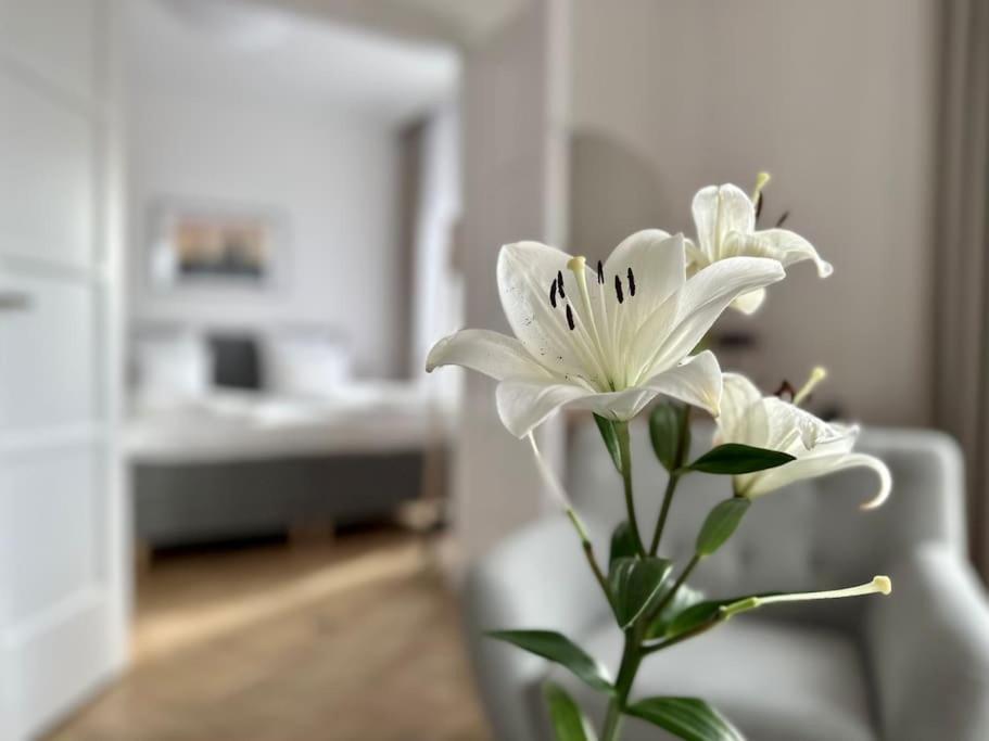Premium Apartment By Hi - Central 2 Bedroom - Best View Budapest Ngoại thất bức ảnh